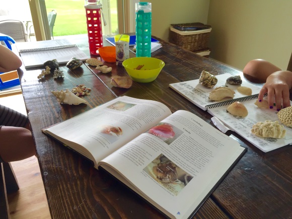 How to Homeschool Through Summer (without being the meanest mom ever)