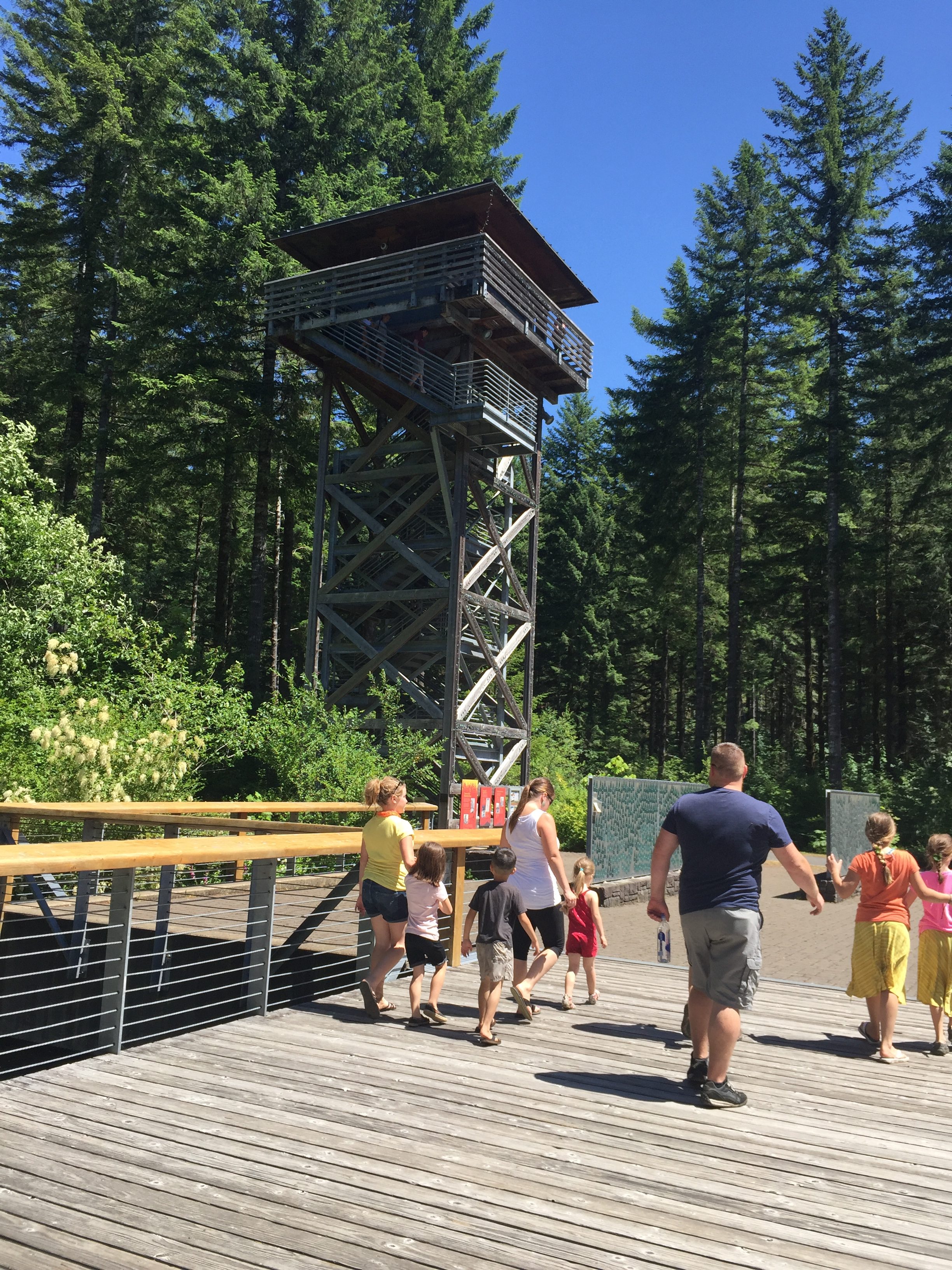 Rediscovering Oregon: Tillamook Forest Center